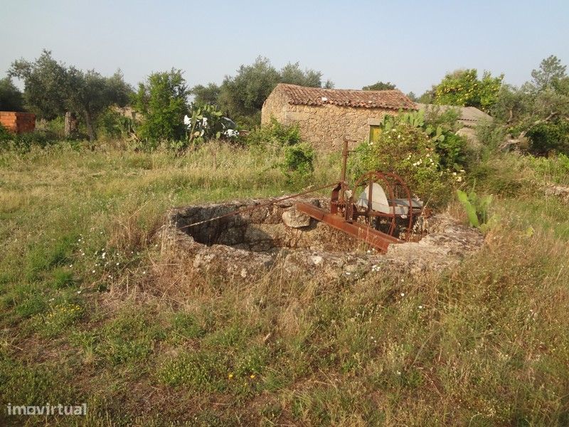 Terreno