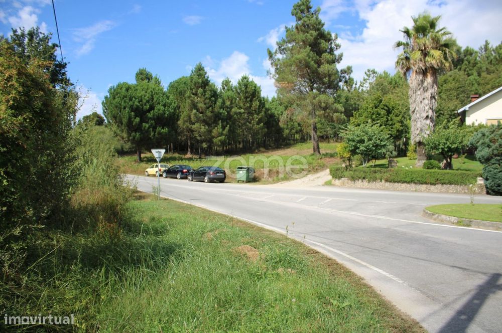 Terreno com pinhal e e mato a 15 minutos de Viseu
