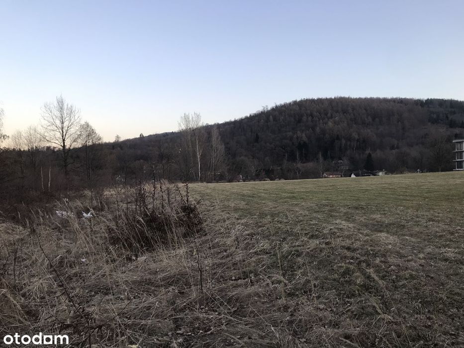 Zdjęcie 4