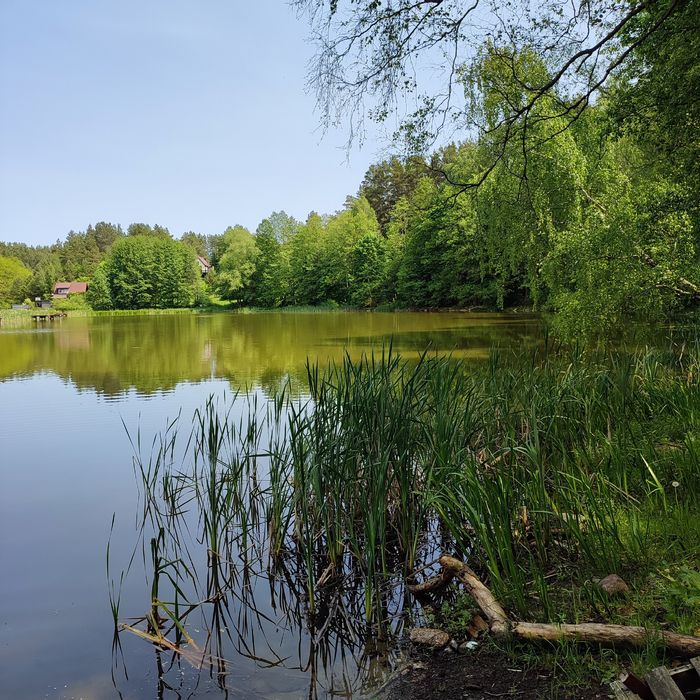 Domek w Skarpie nr 3 nad jeziorem – Łutynowo, Mazury