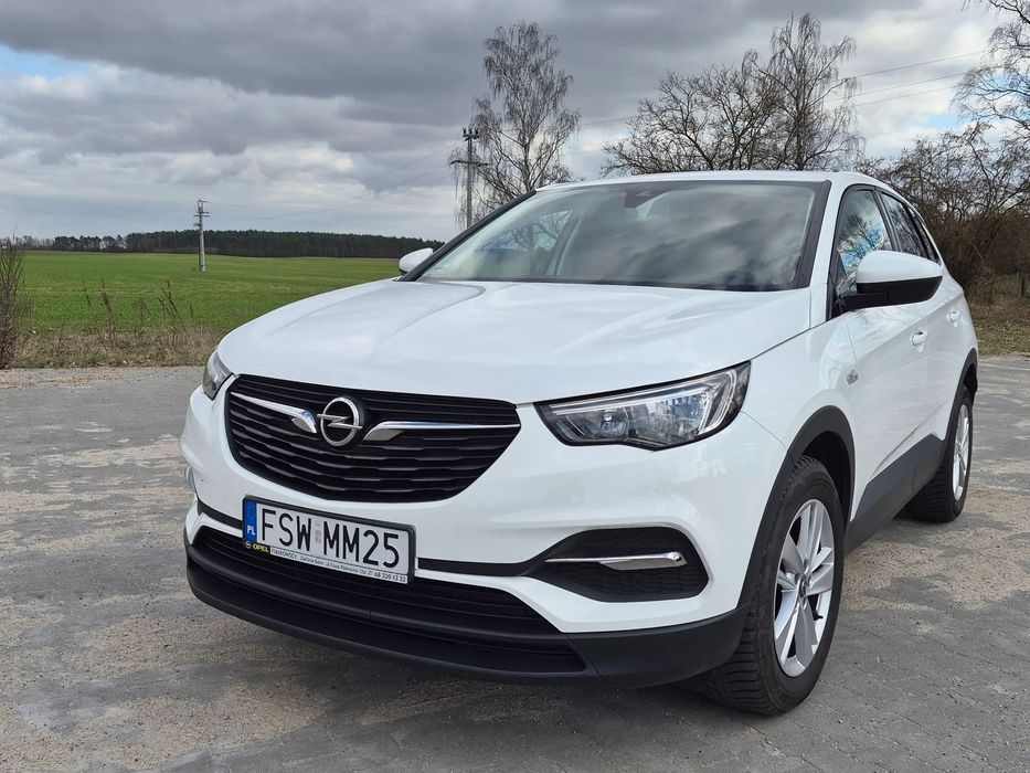 Opel Grandland X NOWA CENA !!! Stan idealny, serwisowany, pełna dokumentacja do wglądu