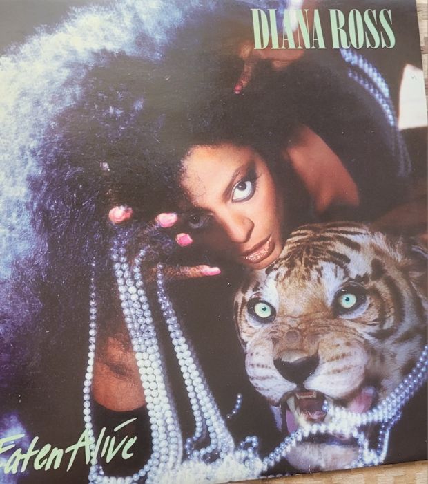 2 discos  de vinil em bom estado