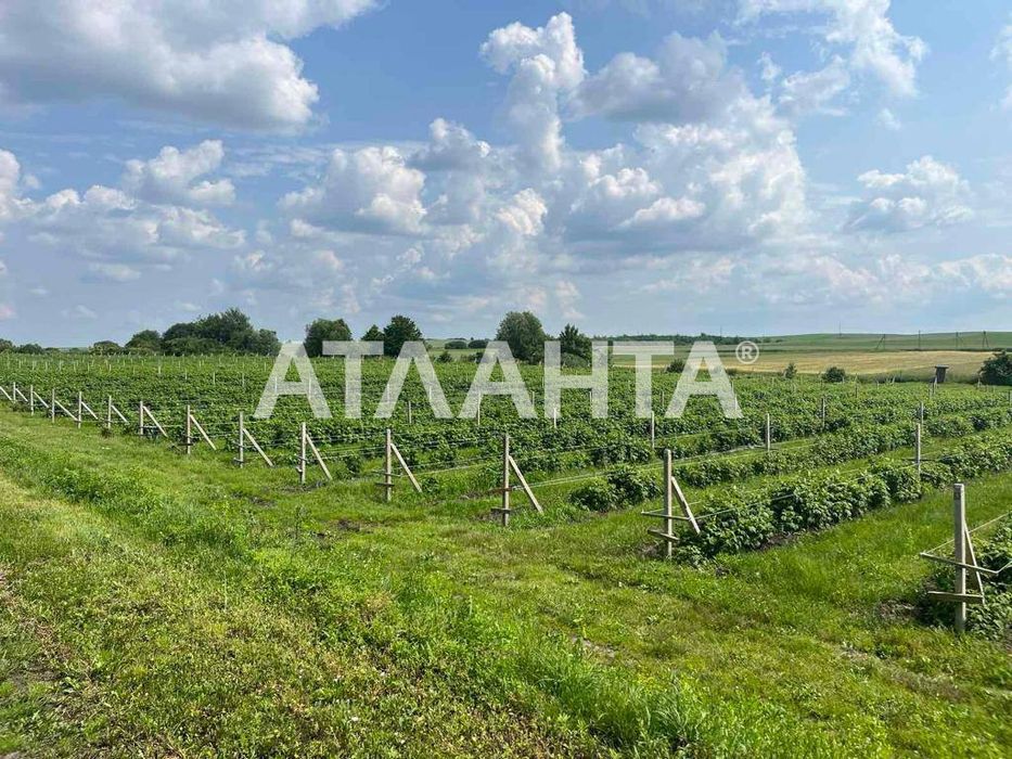 Продаж готового бізнесу з садівництвом м. Жовква