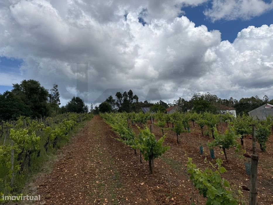 Plot of Land for Construction with Approved Project in Vil de Matos