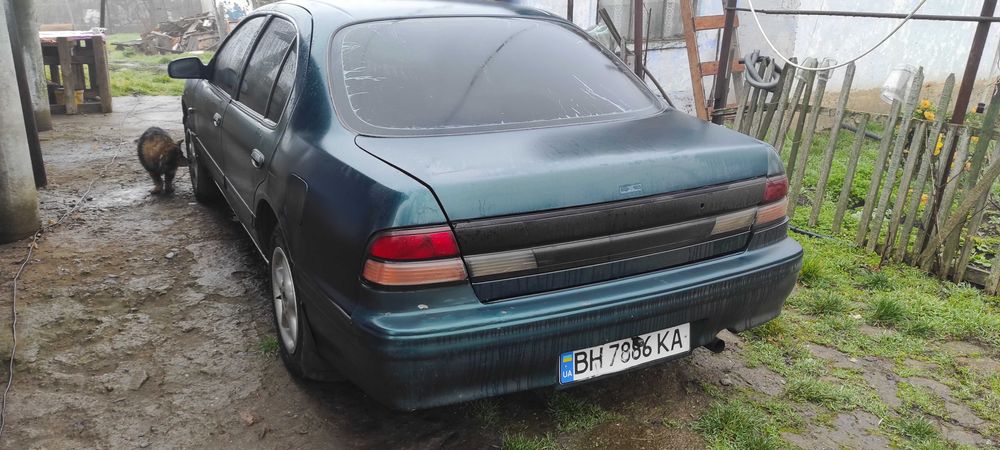 Продам максиму в нормальном состоянии