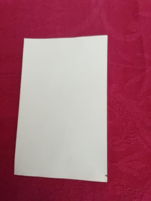 Autocolante Dia Mundial da Floresta