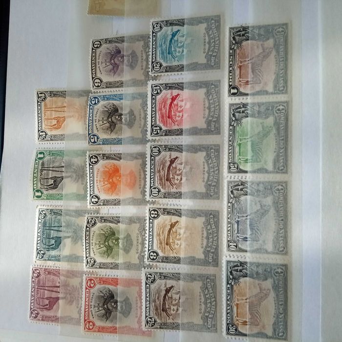 NYASSA denteado 13,5 e 15