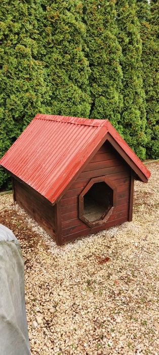 Buda dla dużego psa