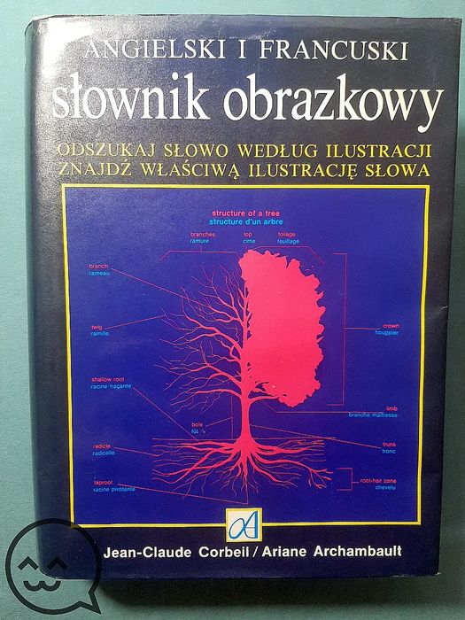 Angielski i francuski słownik obrazkowy