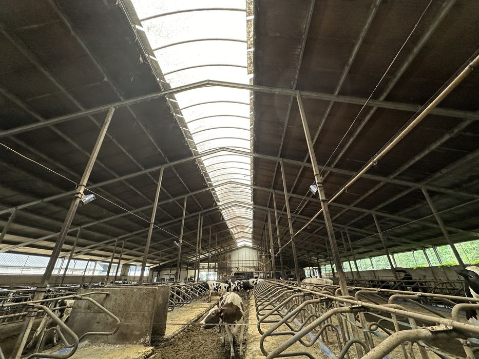 Mycie Fotowoltaiki obory chlewni kurników dachu nacinanie ruszt