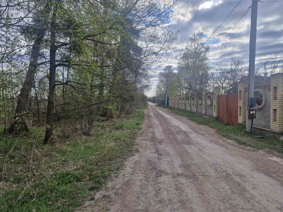 Продаж ділянки 35 сот в с.Сінгури. (26110981)