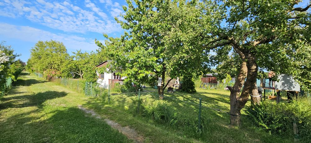 Działka ROD z altanką, wodą,prądem i placem zabaw