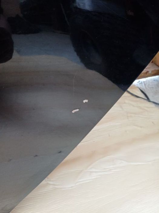 z20r drzwi lewy tył, lewe tylnie opel insignia a eu