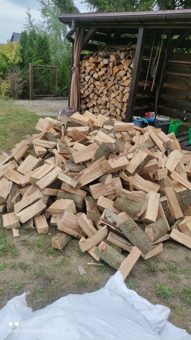 Drewno suche dąb buk grab olcha brzoa sosna