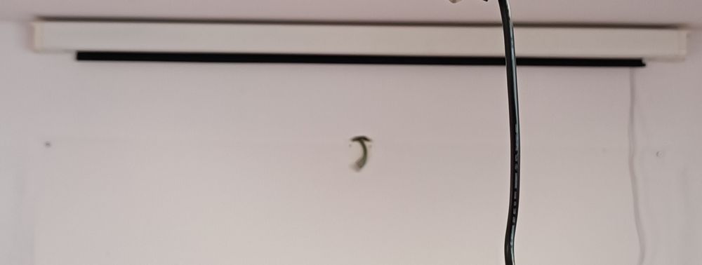 Tela projetor cinema formação elétrica com botoneira para fixar parede