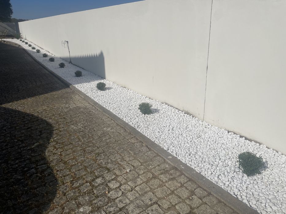 Serviço de Jardinagem