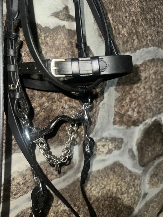 Arreios para cavalos