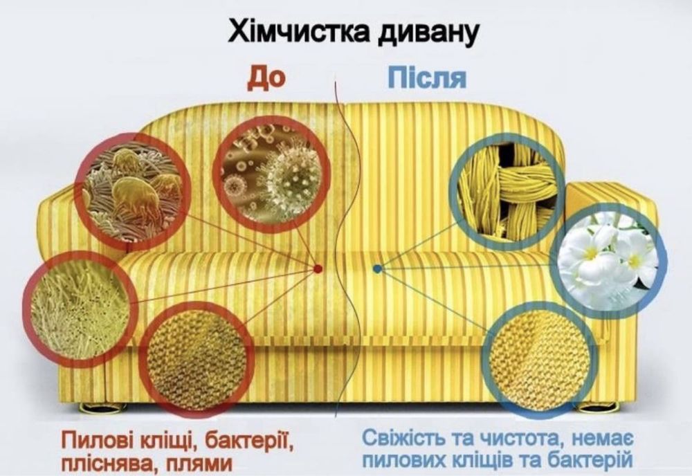 Прибирання квартир Клінінг Хімчистка диванів матраців килимів авто