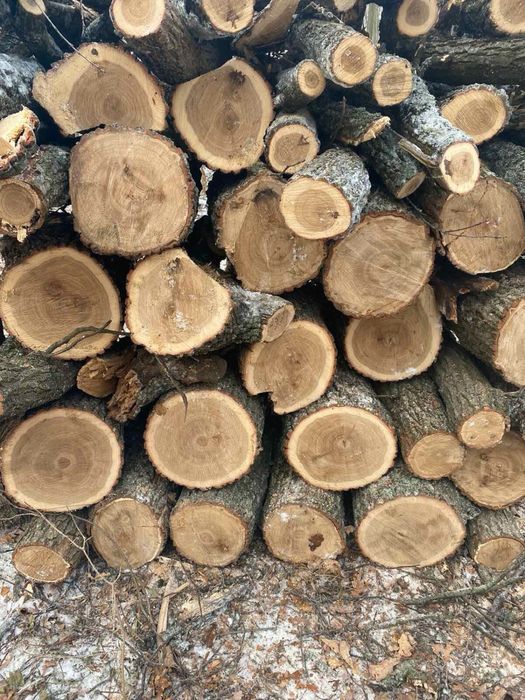 Дрова Дубові Дуб Граб