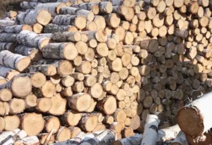 Дрова березові,соснові,дубові , цілі, колоті
