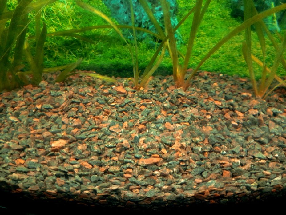 Грунт для акваріума