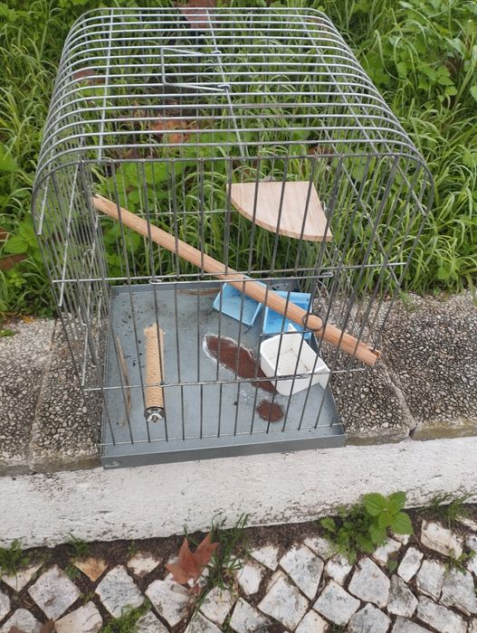 Gaiola grande, galvanizada.