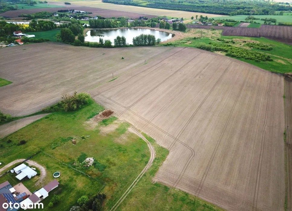Sprzedam 21 ha ziemi rolnej w Boguniewie