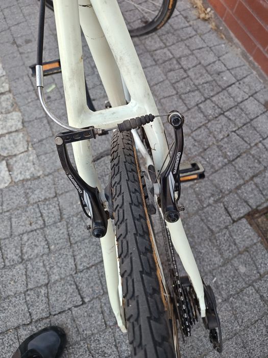 Rower męski Sco supreme