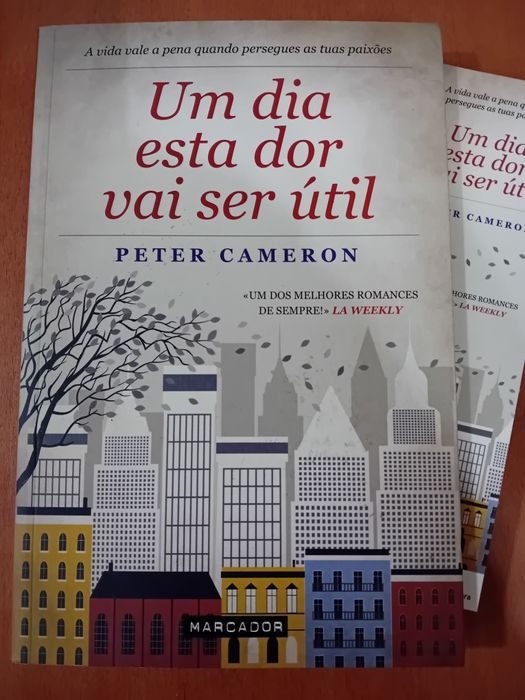 Um dia esta dor vai ser útil