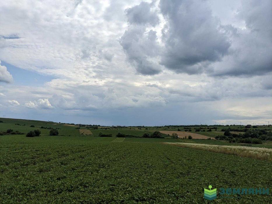 Земля 13 соток в с.Колодіївка,урочище "Нива" під будівництво (5)