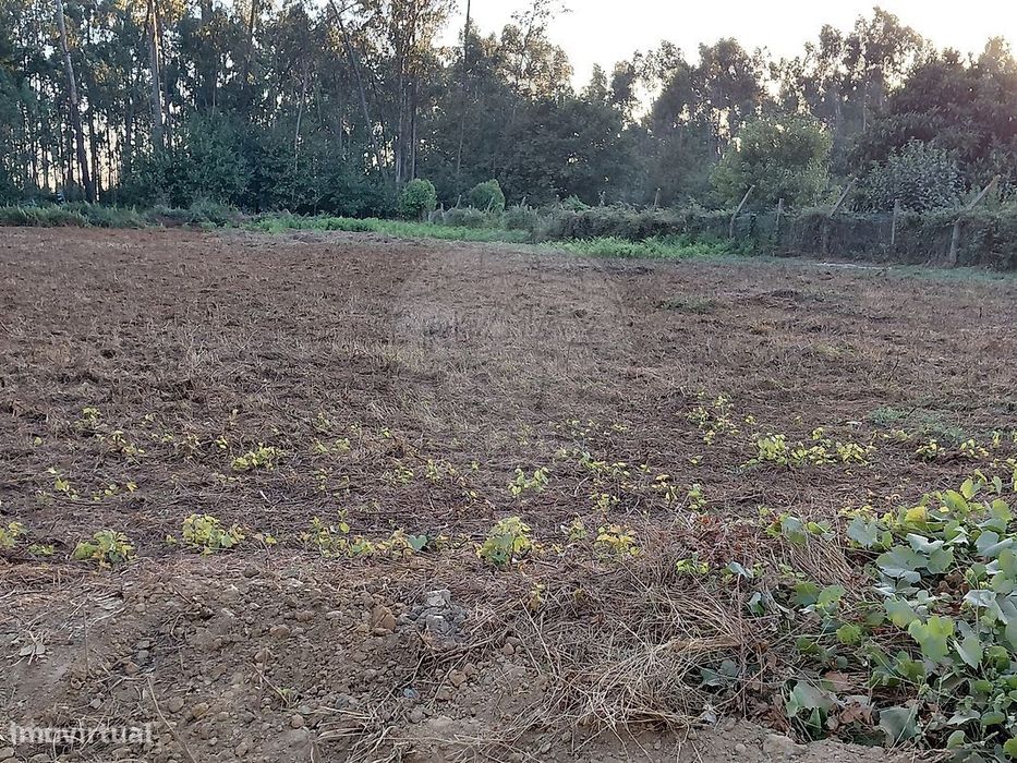 Terreno  para venda