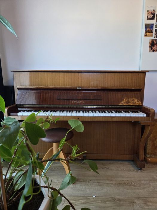 Pianino  Legnica