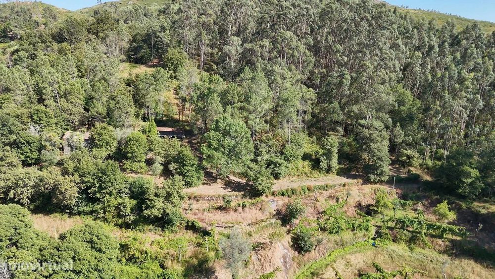 Quinta com 2 Hectares e Casa em Pedra para Recuperar em Gomide, Vila V