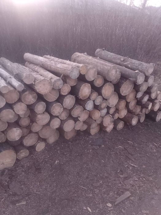 Дрова для опалення
