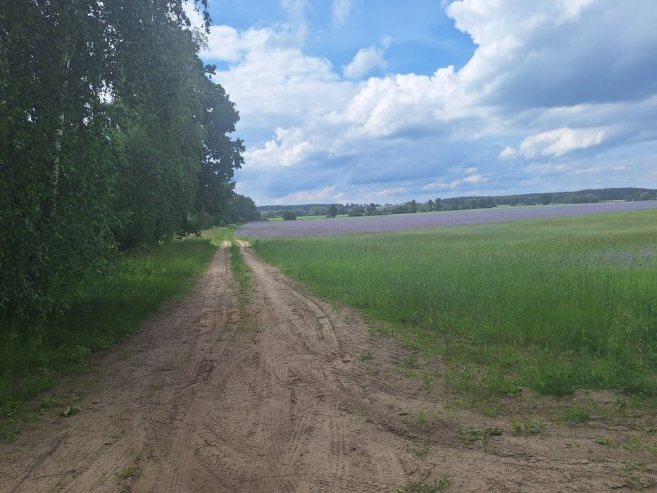 Działka budowlana blisko natury
