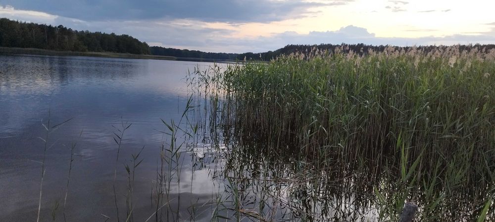 A może nie nad morze...