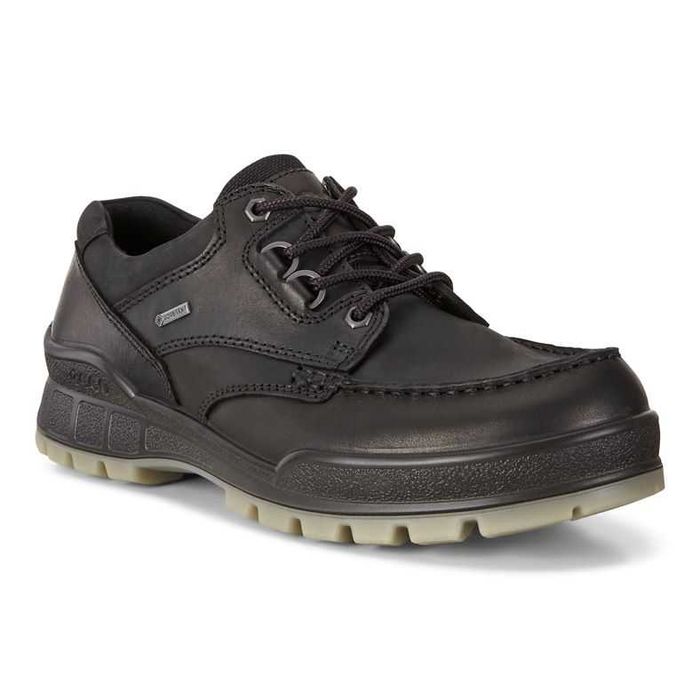 męskie buty wodoodporne GORE-TEX ECCO Track 25, Czarny, EU 40
