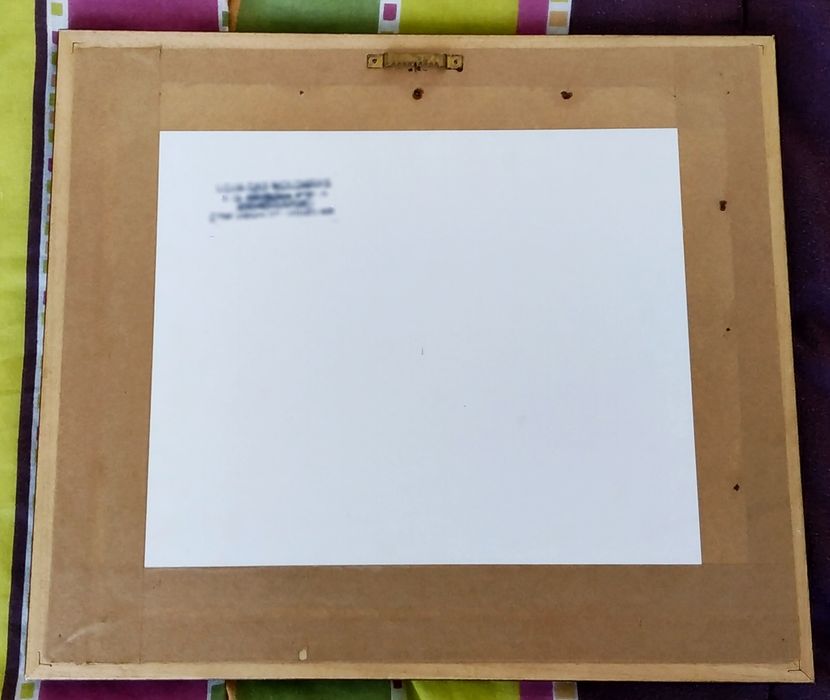 Raro! raças de pombos 1908