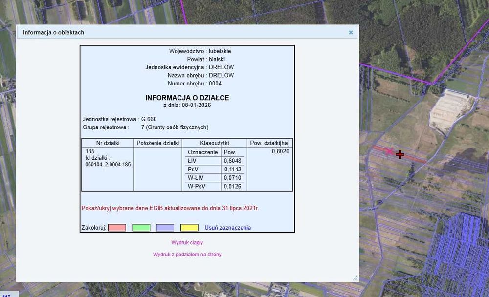 Działka Drelów 8026m2 wipasz rekreacyjna letniskowa łąka STAW