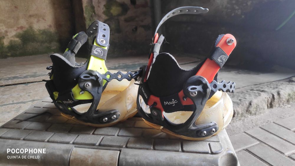 Aparo / Recorte de Cascos de Cavalo em Barefoot