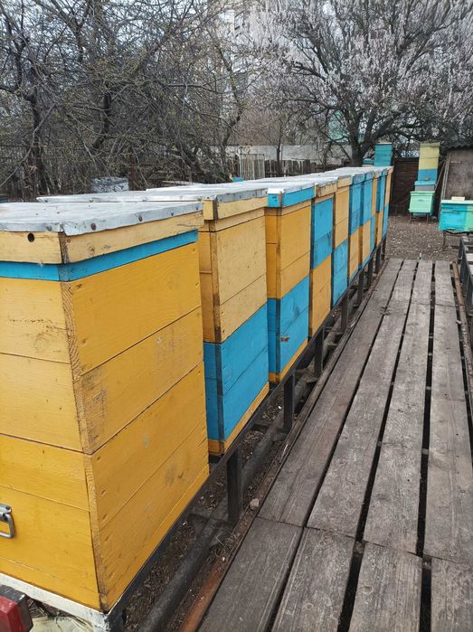 Продам прицеп для пчел двухосный  5м.