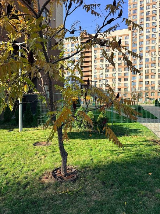 Продаж 1-к квартири ЖК Варшавський, 43м2, 68 000 USD, документи