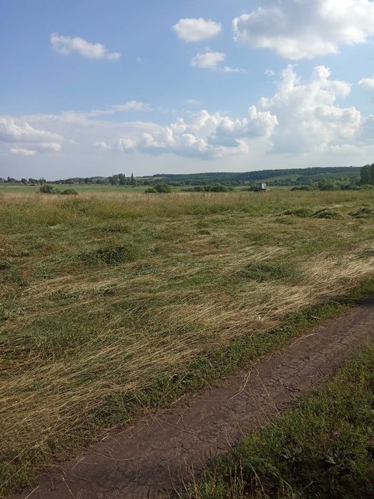Сено луговое тюки и солома.