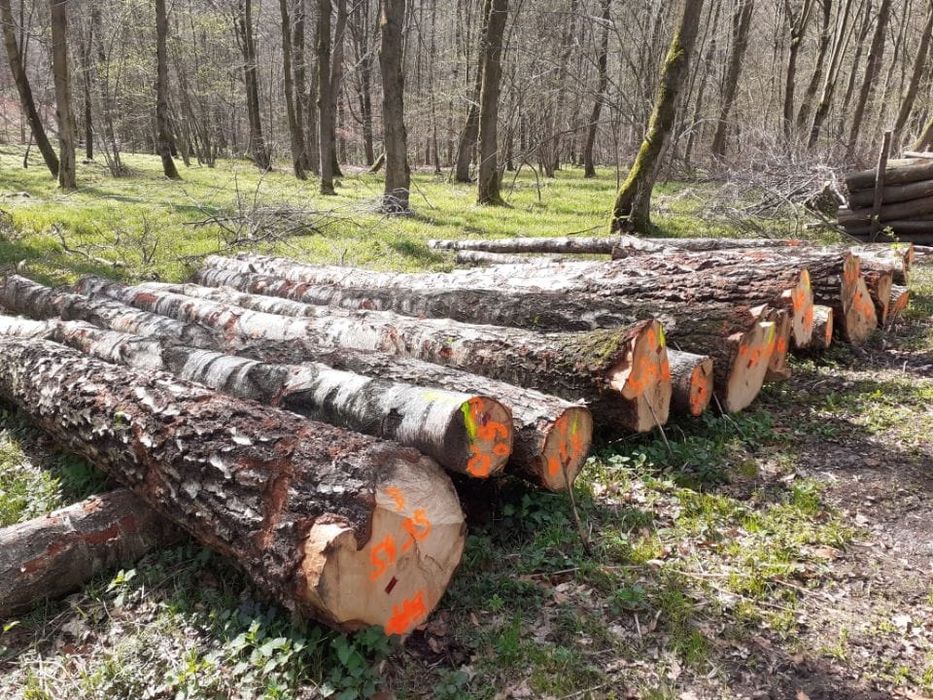 Tanie Drewno kominkowe BRZOZA układana opałowe z dowozem