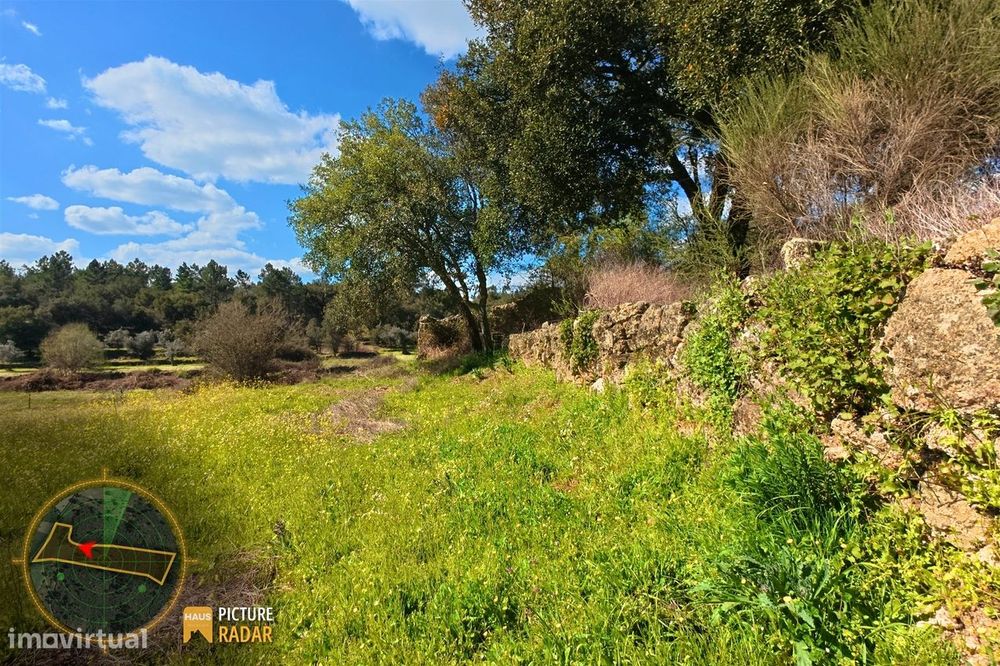 Terreno 1.1ha com Ruína e Vale Fértil | Cafede, Castelo Branco
