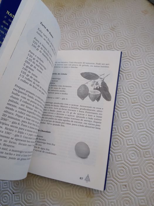 Livro Natal na Europa Edith Vieira Philips