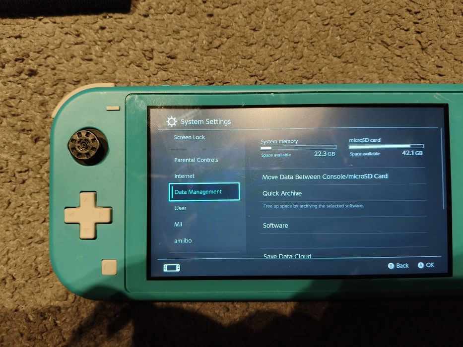 Nintendo switch lite