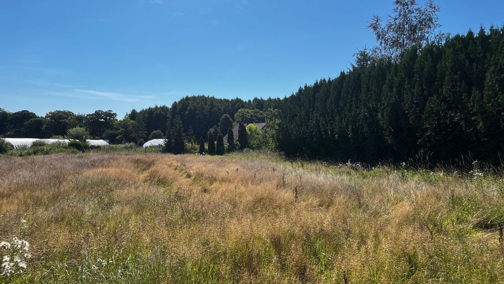 Dzialka na sprzedaz (posiada warunki zabudowy) -spokojna okolica na Warmii - Więcej