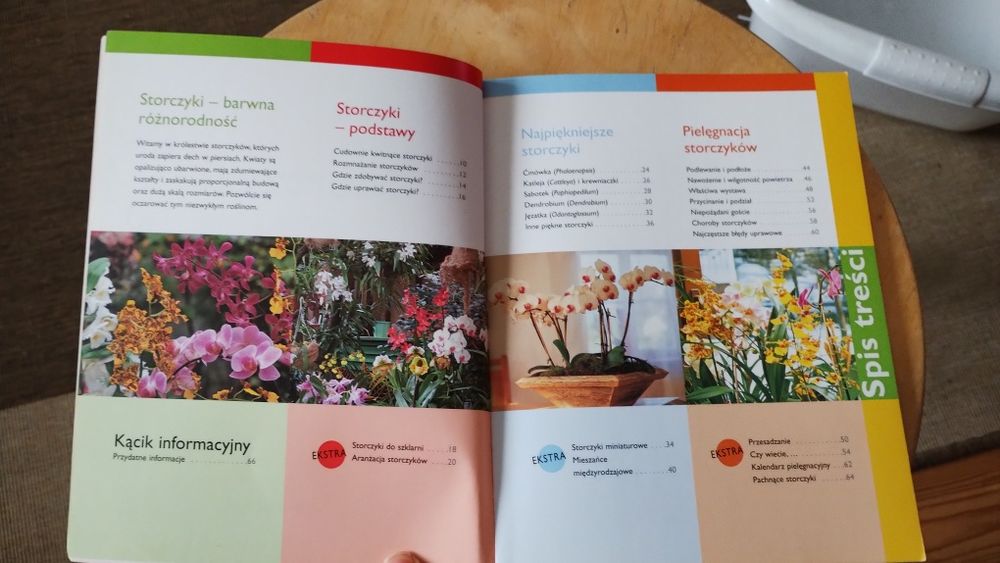 Storczyki Lutz Röllke, storczyk, orchidea