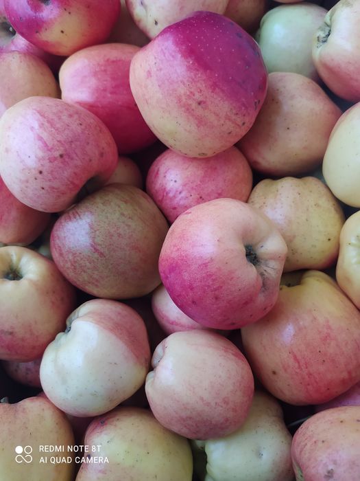 Ocet jabłkowy naturalny